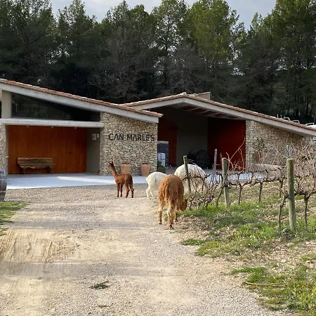 Cal Puig, Enoturismo Rural Entre Vinas Y Bosques * Juncosa