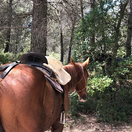 וילה Cal Puig, Enoturismo Rural Entre Vinas Y Bosques Juncosa