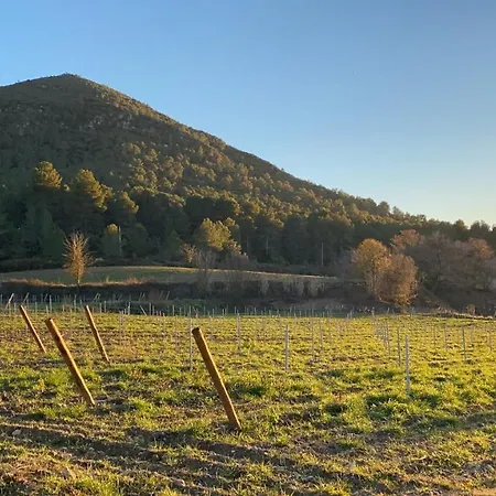 Villa Cal Puig, Enoturismo Rural Entre Vinas Y Bosques