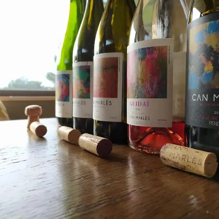 Cal Puig, Enoturismo Rural Entre Vinas Y Bosques