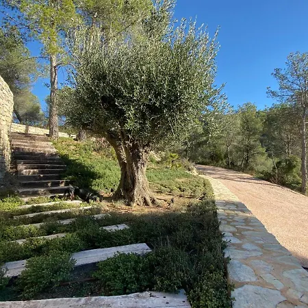 Cal Puig, Enoturismo Rural Entre Vinas Y Bosques *
