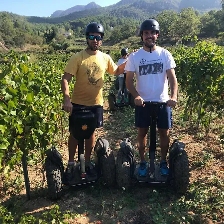 Cal Puig, Enoturismo Rural Entre Vinas Y Bosques Juncosa