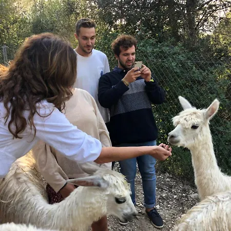 Cal Puig, Enoturismo Rural Entre Vinas Y Bosques Villa
