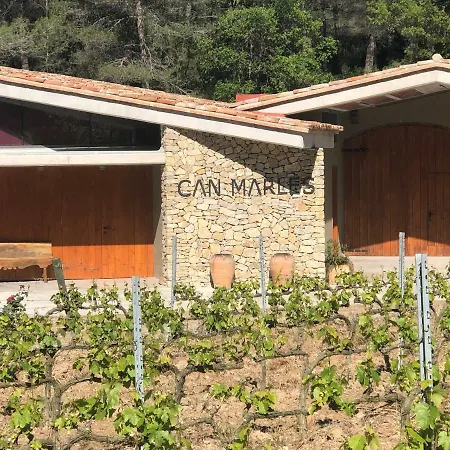 Cal Puig, Enoturismo Rural Entre Vinas Y Bosques Villa Juncosa