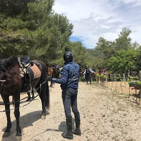 Cal Puig, Enoturismo Rural Entre Vinas Y Bosques *