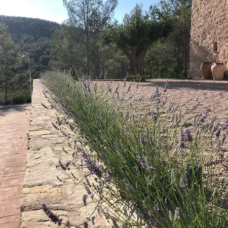 Cal Puig, Enoturismo Rural Entre Vinas Y Bosques *