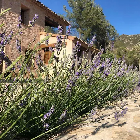 Villa Cal Puig, Enoturismo Rural Entre Vinas Y Bosques