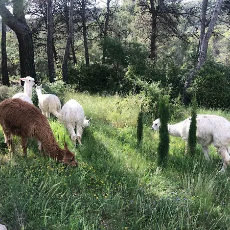 Villa Cal Puig, Enoturismo Rural Entre Vinas Y Bosques Juncosa