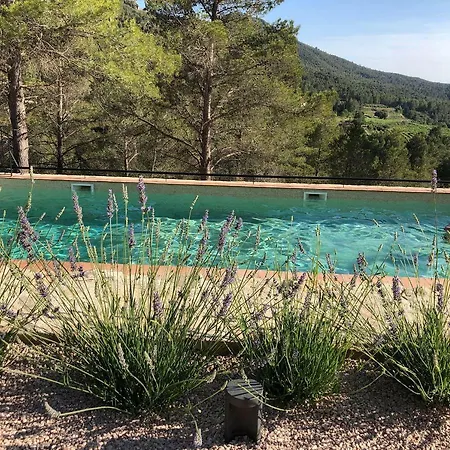 Villa Cal Puig, Enoturismo Rural Entre Vinas Y Bosques *