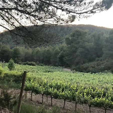 Cal Puig, Enoturismo Rural Entre Vinas Y Bosques Villa Juncosa