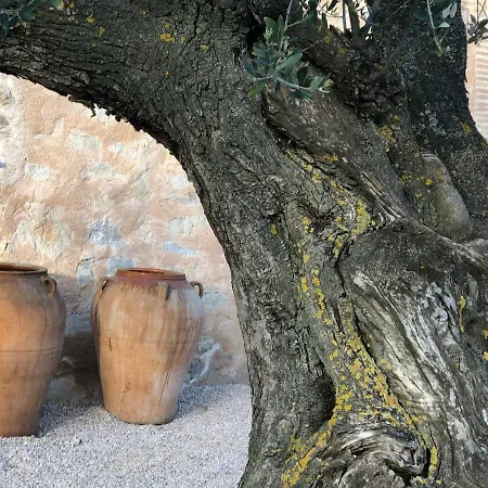 Cal Puig, Enoturismo Rural Entre Vinas Y Bosques