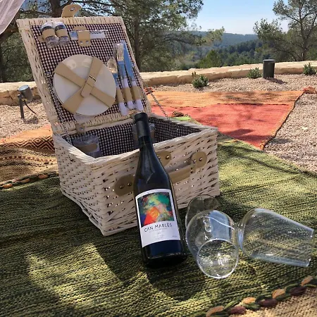 Cal Puig, Enoturismo Rural Entre Vinas Y Bosques Villa *