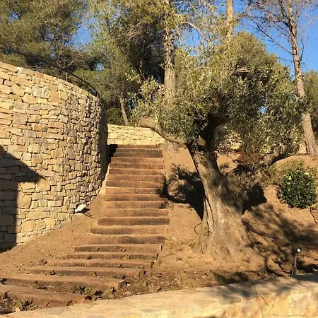 Villa Cal Puig, Enoturismo Rural Entre Vinas Y Bosques