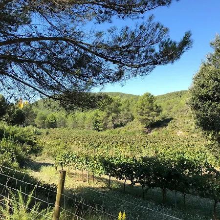 Cal Puig, Enoturismo Rural Entre Vinas Y Bosques Villa Juncosa